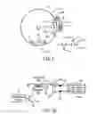 Fig. 02 - IGNITION SYSTEM FOR INTERNAL COMBUSTION ENGINE