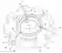 Fig. 01 - Checker nut for locking a threaded body to a threaded rod and concrete reinforcement assembly