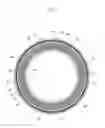 Fig. 04 - Rolling Bearing