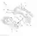 Fig. 01 - Disc brake assembly