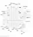 Fig. 01 - Transmission for vehicle
