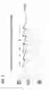 Fig. 04 - SHIFT RANGE SWITCHOVER CONTROL APPARATUS