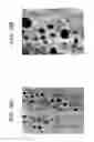 Fig. 16 - Wavelength converter containing phosphor particles