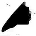 Fig. 50 - LED LIGHT ASSEMBLIES
