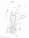 Fig. 02 - Light bulb shaped lamp