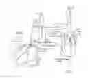Fig. 03 - SOURCE OF ILLUMINATION FOR MEDICAL INFUSION