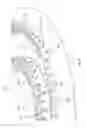 Fig. 07 - DUAL RING BURNER OVNI
