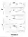 Fig. 09 - THREE DIMENSIONAL WOVEN LATTICES AS NOVEL MULTI-FUNCTIONAL ARCHITECTURES