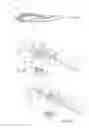 Fig. 04 - Speed reloader for bolt action fixed rifle