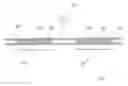 Fig. 05 - Archery arrow having improved flight characteristics