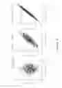 Fig. 12 - Metrology target design for tilted device designs