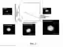 Fig. 07 - Image analysis and measurement of biological samples