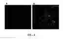 Fig. 08 - Image analysis and measurement of biological samples