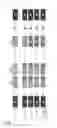 Fig. 32 - Method of screening ATP11C or CDC50A inhibitor