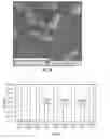 Fig. 08 - P-phenylene ethynylene compounds as bioactive and detection agents