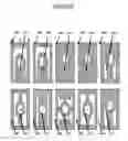 Fig. 26 - Methods and compositions for detecting multiple analytes with a single signal