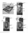 Fig. 27 - Methods and compositions for detecting multiple analytes with a single signal
