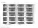 Fig. 09 - Apparatus for screening cells