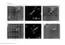 Fig. 20 - Apparatus for screening cells