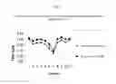 Fig. 07 - High throughput methods for virus quantification