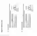 Fig. 40 - METHODS AND COMPOSITIONS FOR IMMUNOMODULATION