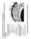 Fig. 69 - METHODS AND COMPOSITIONS FOR IMMUNOMODULATION