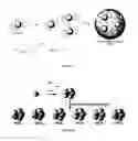 Fig. 02 - Protein fluorescent nanoparticles and methods of synthesis thereof