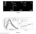 Fig. 08 - Protein fluorescent nanoparticles and methods of synthesis thereof