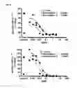 Fig. 03 - Method for detecting protein modifications using specific antibodies