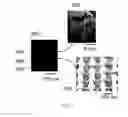 Fig. 07 - Color image display devices comprising structural color pixels that are selectively activated and/or deactivated by material deposition