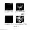 Fig. 19 - Color image display devices comprising structural color pixels that are selectively activated and/or deactivated by material deposition