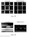 Fig. 12 - Color filter pattern and manufacturing method thereof