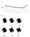 Fig. 10 - Polarizing plate for minimizing reflecting properties in an organic light emitting device