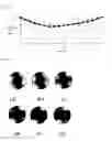 Fig. 12 - Polarizing plate for minimizing reflecting properties in an organic light emitting device