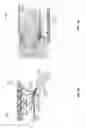Fig. 05 - Compound semiconductor photonic integrated circuit with dielectric waveguide