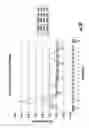 Fig. 32 - Fiber optic cables and assemblies for fiber toward the subscriber applications