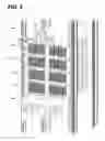 Fig. 03 - Universal cable management system for telecommunications rack