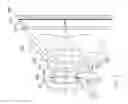 Fig. 04 - Image lens assembly and image capturing device