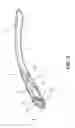 Fig. 03 - EYEGLASS TEMPLE OF COMPOSITE MATERIAL