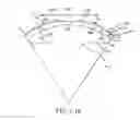 Fig. 04 - Conformable therapeutic shield for vision and pain