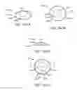 Fig. 20 - Conformable therapeutic shield for vision and pain