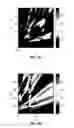 Fig. 04 - Actively controllable color using high contrast metastructures