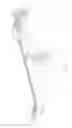 Fig. 02 - Balanced camera slider