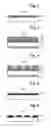 Fig. 03 - Mask blank substrate, substrate with multilayer reflection film, transmissive mask blank, reflective mask blank, transmissive mask, reflective mask, and semiconductor device fabrication method