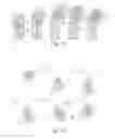 Fig. 07 - Lithographic apparatus