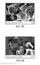 Fig. 06 - Carbon nanoparticle and fluorpolymer fuser coating