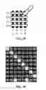 Fig. 28 - Transmitting and receiving system and method for bidirectional orthogonal signaling sensors