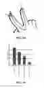 Fig. 35 - Transmitting and receiving system and method for bidirectional orthogonal signaling sensors