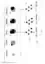 Fig. 04 - Probabilistic palm rejection using spatiotemporal touch features and iterative classification