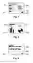 Fig. 07 - System and method for testing data representation for different mobile devices
